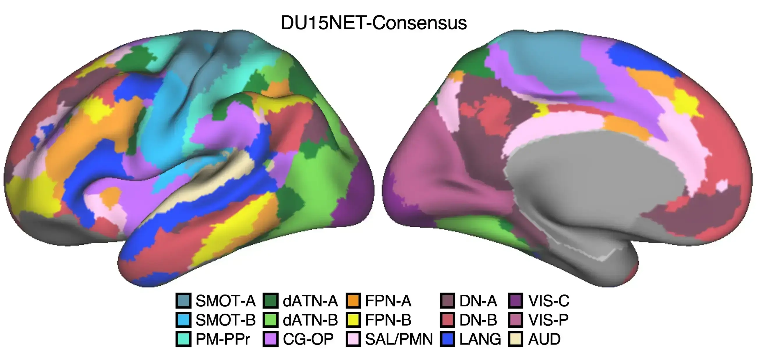 Two color-coded brain hemispheres displaying functional network parcellations, explained by the DU15NET-Consensus legend.
